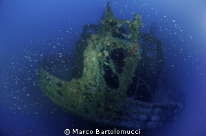 The fantastic stern of the Laura C.  italian ww2 wreck in... by Marco Bartolomucci 